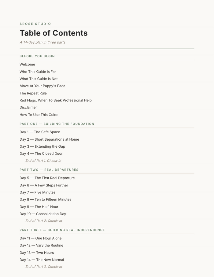 Table of contents showing the 14-day roadmap in three parts — The First Two Weeks Alone